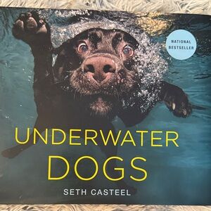 Underwater Dogs by - Black